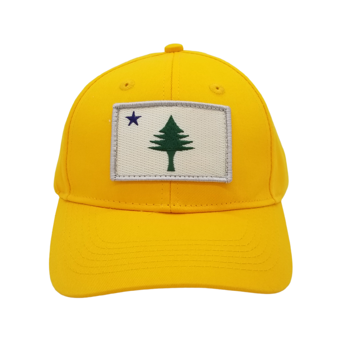 Youth Maine Flag Structured Twill Hat