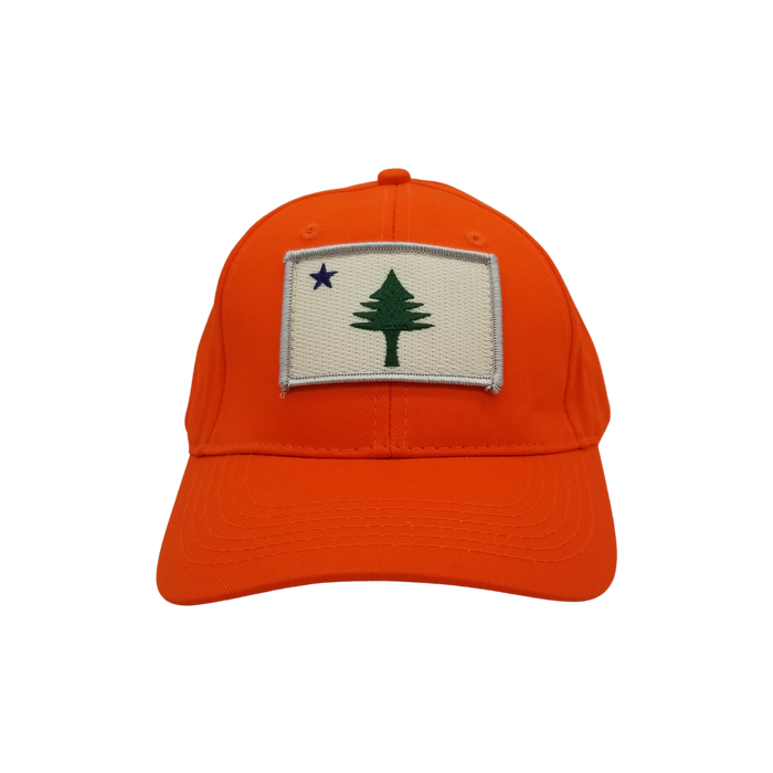 Youth Maine Flag Structured Twill Hat